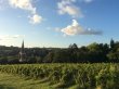 Offre-de-fermage-vignes-avec-materiel-de-culture-et-de-vinification-