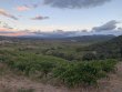 VENTE-VIGNE-AOC