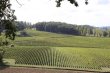 Domaine-Viticole-avec-Chateau-du-XIXeme-siecle-en-Bergerac-