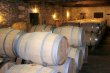 Domaine-Viticole-avec-Chateau-du-XIXeme-siecle-en-Bergerac-