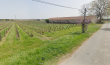 Domaine-VITICOLE-Bio-au-coeur-de-lAppellation-AOC-BUZET