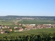 Investir-en-Champagne--secteurs-historiques--GFV-familial