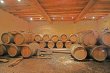 Limoux-Propriete-viticole-sur-50-ha-avec-une-cave-de-vinification