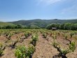 VENDU-4ha52ca-Rouge-et-Blanc-en-foret-
