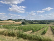 Propriete-agricole-de-45ha-avec-maison-et-batiments-a-renov