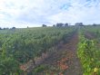SELL-WINERY-BUILDING