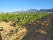 SELL-WINERY-BUILDING