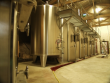 -Blayais--Superb-wine-property