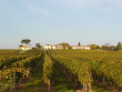 -Blayais--Superb-wine-property