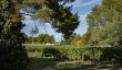 Domaine-viticole-en-AOC-Bordeaux-Bordeaux-Superieur-