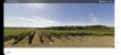 Mise-a-disposition-dun-domaine-viticole-en-bail-Safer-ou-Commodat-