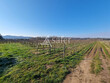 Domaine-viticole-en-AB-de-19-ha-AOP-Cahors-Vallee-du-Lot
