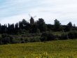 Vignoble-de-7-ha-dans-le-Minervois