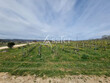 Domaine-Viticole-18-ha-AOP-Cahors-en-agriculture-Biologique