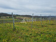 Domaine-Viticole-18-ha-AOP-Cahors-en-agriculture-Biologique