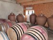 VENDEE--Exploitation-viticole-artisanale-dediee-a-la-bouteille