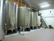 EXCLUSIVITE-Anjou--Belle-opportunite-de-reprise-sur-21-ha-de-vignes