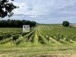 A-vendre-a-10-min-de-Duras--domaine-viticole-en-AOC-Cotes-de-Duras-