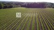 A-vendre-vignoble-en-AOC-Pecharmant-et-Rosette