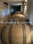 Au-coeur-du-Sauternais-ravissante-maison-gite-avec-vignoble-1-hectare