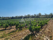 Vignes-surface-globale-13-Hectares