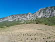 Domaine-Viticole-bio-15-ha-Proche-Perpignan