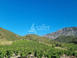 Domaine-Viticole-bio-15-ha-Proche-Perpignan