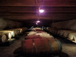Exploitation-viticole-Agriculture-Biologique-43-ha-AOP-Cahors