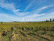Exploitation-viticole-Agriculture-Biologique-43-ha-AOP-Cahors