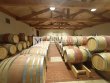 A-la-vente-propriete-viticole--9-ha-en-AOC-Haut-Medoc-