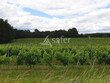 Domaine-viticole-avec-chai-sur-110ha