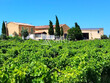 Cave-particuliere-moderne-et-Domaine-viticole-familial-en-zone