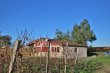 Petite-maison-avec-vignes-autour