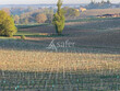 Exploitation-viticole-sur-60ha-en-Bergerac-Montravel-et-locatio