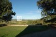 A-vendre-Bergerac--Superbe-propriete-viticole-tres-bien-tenue-de-plus-de-60-ha-