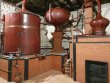 A-vendre-belle-propriete-viticole-dans-le-Cognacais