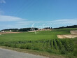 Exploitation-agricole-en-bovins-viande-et-viticulture-sur-110ha