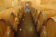 A-vendre-Vignoble-de-55-ha-dun-seul-tenant-en-Pomerol