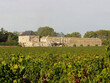 Chateau-viticole-sur-65-ha-de-vignes-irrigables