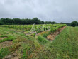 Proche-Eauze--Propriete-viticole-de-18-ha
