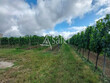 ENTRE-DEUX-MERS-Exploitation-sur-TERROIR-dexception