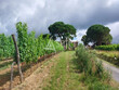 ENTRE-DEUX-MERS-Exploitation-sur-TERROIR-dexception