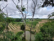 ENTRE-DEUX-MERS-Exploitation-sur-TERROIR-dexception