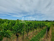 AOC-COTES-DE-CASTILLON-Petite-propriete-a-reprendre-