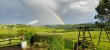 EXPLOITATION-VITICOLE-ET-ELEVAGE-EN-SUD-BEAUJOLAIS-