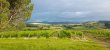 EXPLOITATION-VITICOLE-ET-ELEVAGE-EN-SUD-BEAUJOLAIS-
