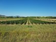 VENTE-DOMAINE-AUVERGNE