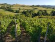 VENTE-DOMAINE-AUVERGNE