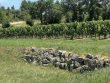 EXCLUSIVITE-GIRONDE-Ravissant-domaine-viticole-a-flanc-de-coteaux