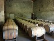 Chartreuse-du-XVIIIeme-siecle-entouree-de-son-vignoble-et-de-ses-terres